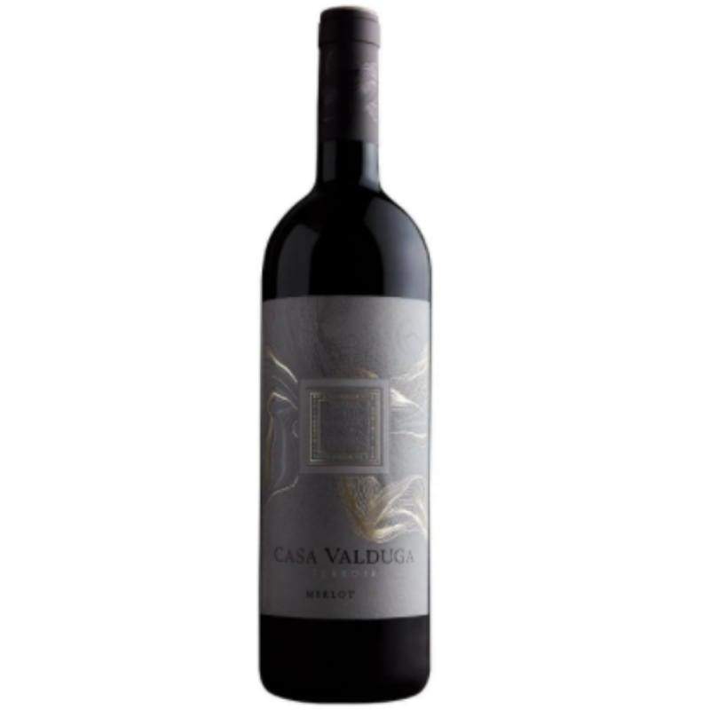 Vinho Tinto Terroir Merlot Casa Valduga 2018